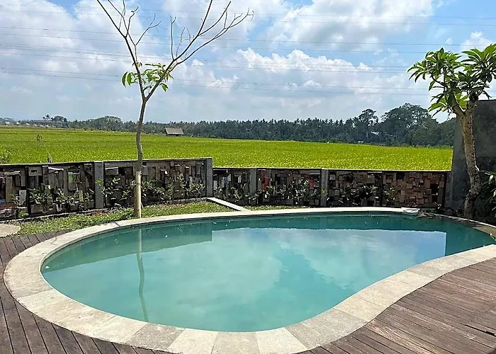 Eka Wood
